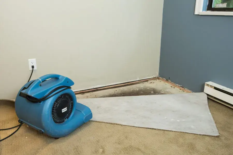 Air mover drying a carpeted room with the carpet pulled back in Rochester, MI